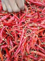 শুকনা মরিচ